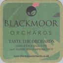 Filename=Blackmoor_orchards01a.jpg
Filesize=76KiB
Dimensions=450x450
Date added=Feb 07, 2026 Blackmoor_orchards01a.jpg