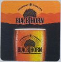 Blackthorn_1f.jpg