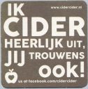 Cider_misc_10r.jpg