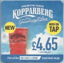 Kopparberg_41f.jpg