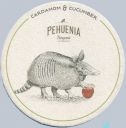 Pehuenia_armadillo.jpg