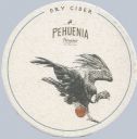 Pehuenia_condor.jpg