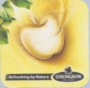 Strongbow_1-0~0.jpg