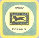 Black_Cat01ao.jpg